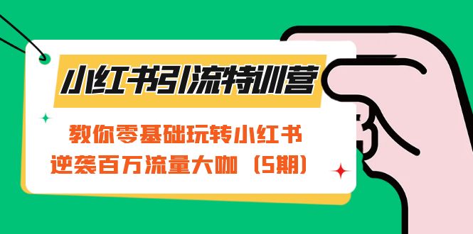 小红书引流特训营-第5期：教你零基础玩转小红书，逆袭百万流量大咖-行动派