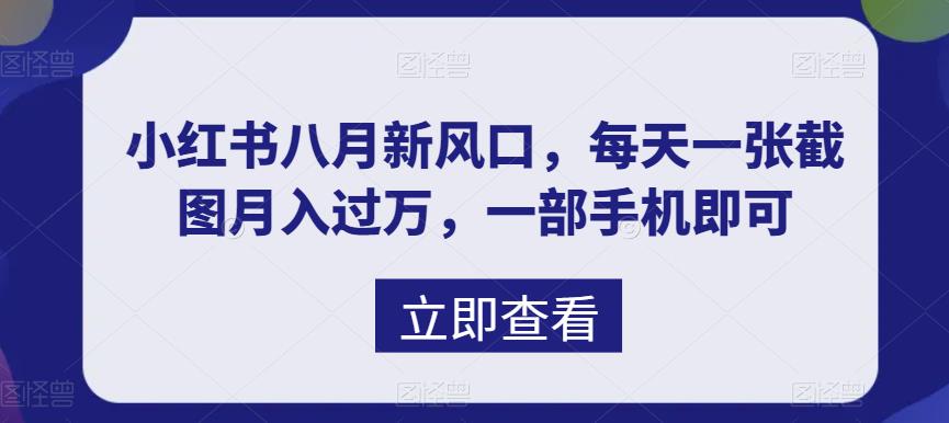 八月新风口，小红书虚拟项目一天收入1000+，实战揭秘-行动派