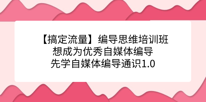 【搞定流量】编导思维培训班，想成为优秀自媒体编导先学自媒体编导通识1.0-行动派