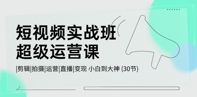 短视频实战班超级运营课 |剪辑|拍摄|运营|直播|变现 小白到大神 (30节)-行动派