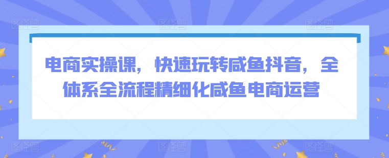 电商实操课，快速玩转咸鱼抖音，全体系全流程精细化咸鱼电商运营-行动派