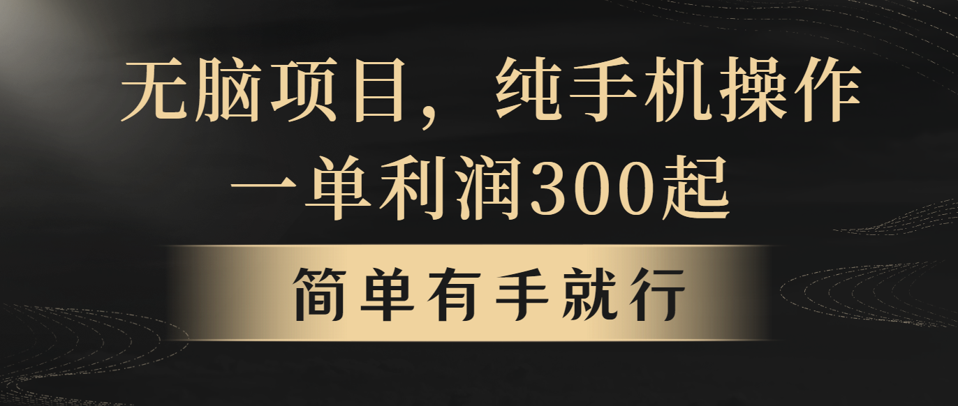 （10699期）无脑项目，一单几百块，轻松月入5w+，看完就能直接操作-行动派