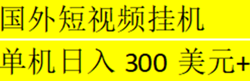 海外暴力短视频挂机全自动撸美金 单机日入300美元+【脚本免费+一对一指导】-行动派