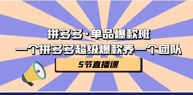 拼多多·单品爆款班，一个拼多多超级爆款养一个团队（5节直播课）-行动派