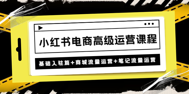 小红书电商高级运营课程：基础入驻篇+商城流量运营+笔记流量运营-行动派