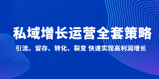 私域增长运营全套策略：引流、留存、转化、裂变 快速实现高利润增长-行动派