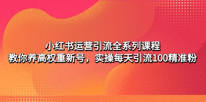 小红书运营引流全系列课程：教你养高权重新号，实操每天引流100精准粉-行动派