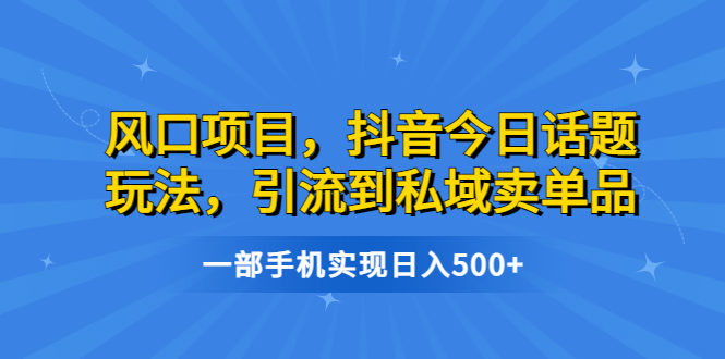 风口项目，抖音今日话题玩法，引流到私域卖单品，一部手机实现日入500+-行动派