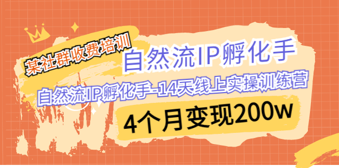 某社群收费培训：自然流IP 孵化手-14天线上实操训练营 4个月变现200w-行动派