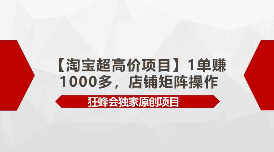 （9849期）【淘宝超高价项目】1单赚1000多，店铺矩阵操作-行动派