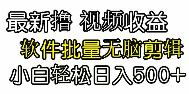 （9569期）发视频撸收益，软件无脑批量剪辑，第一天发第二天就有钱-行动派