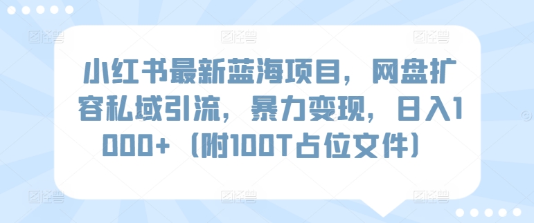 小红书最新蓝海项目，网盘扩容私域引流，暴力变现，日入1000+（附100T占位文件）-行动派