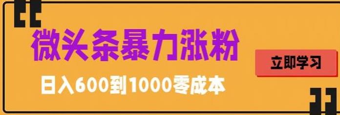 微头条暴力涨粉技巧搬运文案就能涨几万粉丝，简单0成本，日赚600-行动派