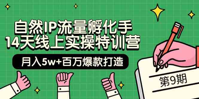 （9881期）自然IP流量孵化手 14天线上实操特训营【第9期】月入5w+百万爆款打造 (74节)-行动派