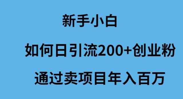 （9668期）新手小白如何日引流200+创业粉通过卖项目年入百万-行动派