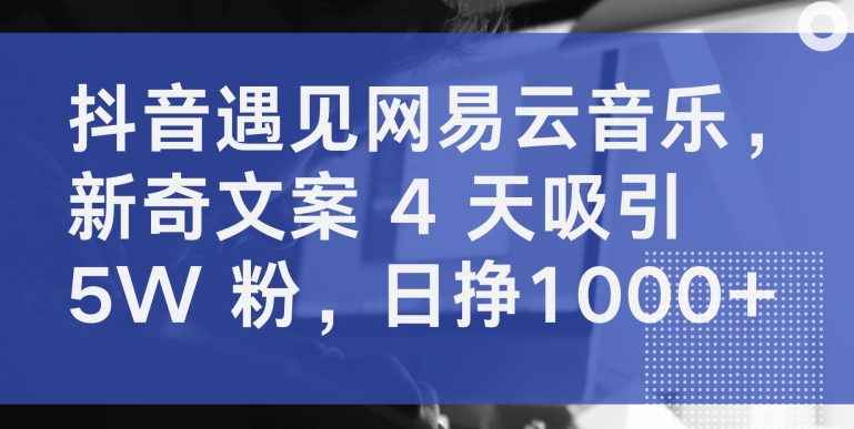 抖音遇见网易云音乐，新奇文案 4 天吸引 5W 粉，日挣1000+-行动派