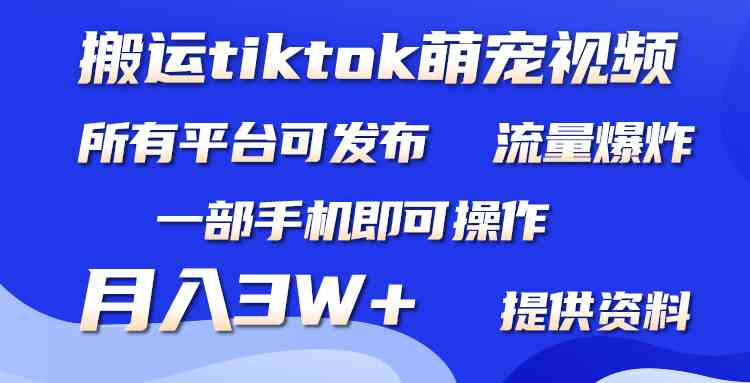 （9618期）搬运Tiktok萌宠类视频，一部手机即可。所有短视频平台均可操作，月入3W+-行动派