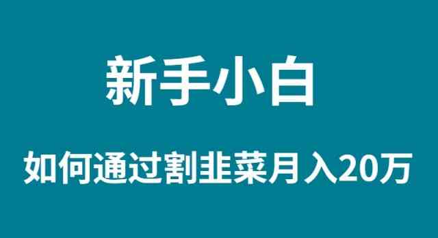 （9308期）新手小白如何通过割韭菜月入 20W-行动派