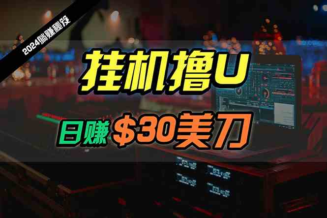 （10013期）日赚30美刀，2024最新海外挂机撸U内部项目，全程无人值守，可批量放大-行动派