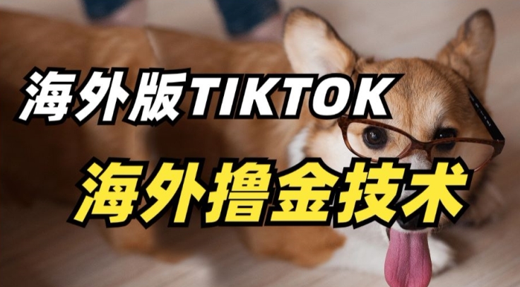 抖音海外版tiktok撸金技术，这个风口行业，赚钱真的不难-行动派