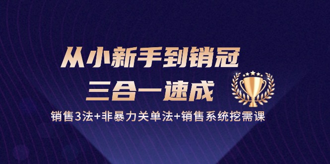 从小新手到销冠三合一速成：销售3法+非暴力关单法+销售系统挖需课 (27节)-行动派